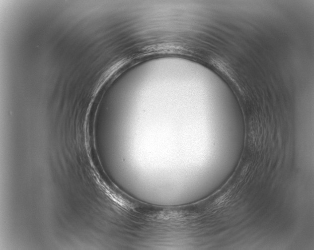 X0000057081082200510010153