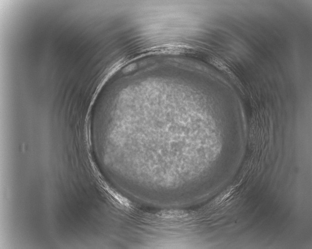 X0000057081083200510010153