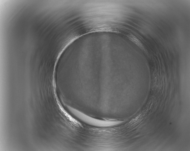 X0000057081084200510010153