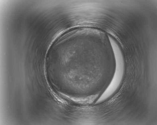 X0000057081085200510010153