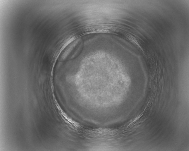 X0000057081087200510010153