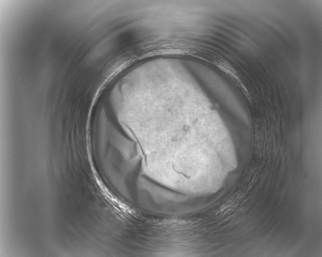 X0000057081088200510010153