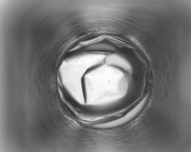 X0000057081089200510010153