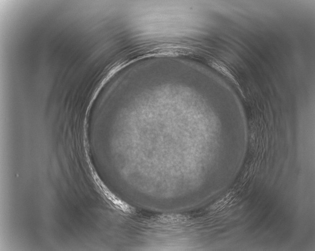 X0000057081091200510010153