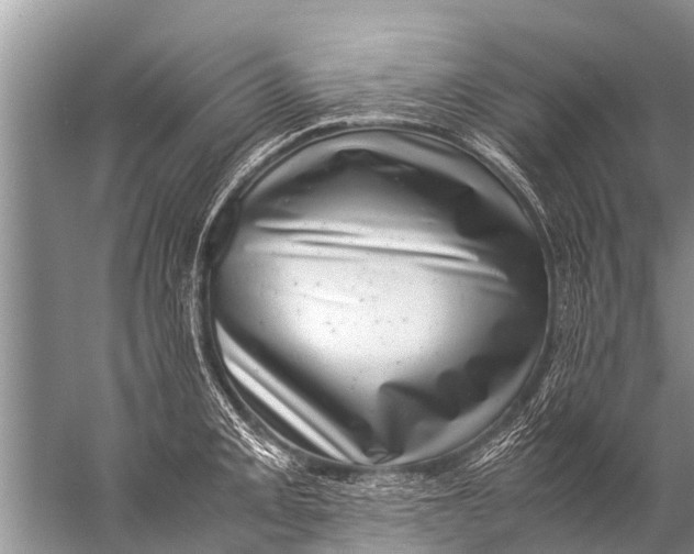 X0000057081093200510010153