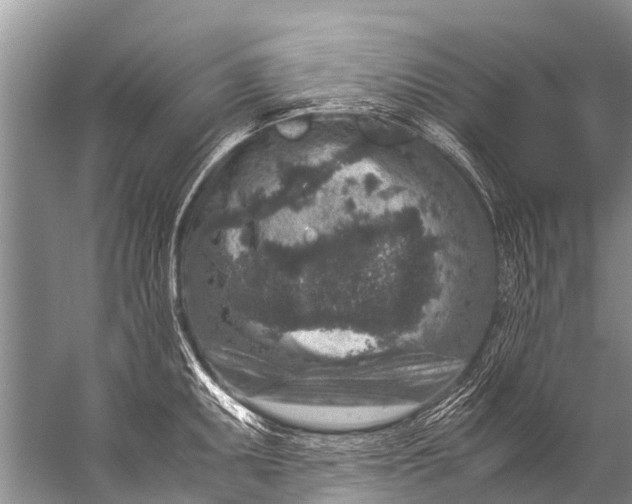 X0000057081095200510010153