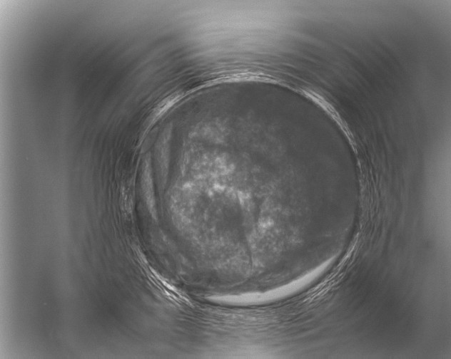 X0000057081097200510010153