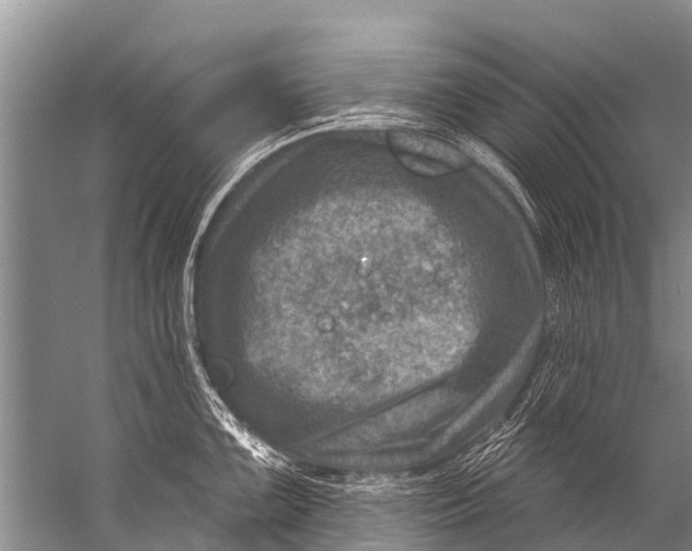 X0000057081099200510010153