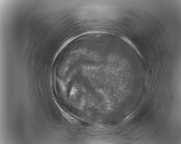 X0000057081101200510010153