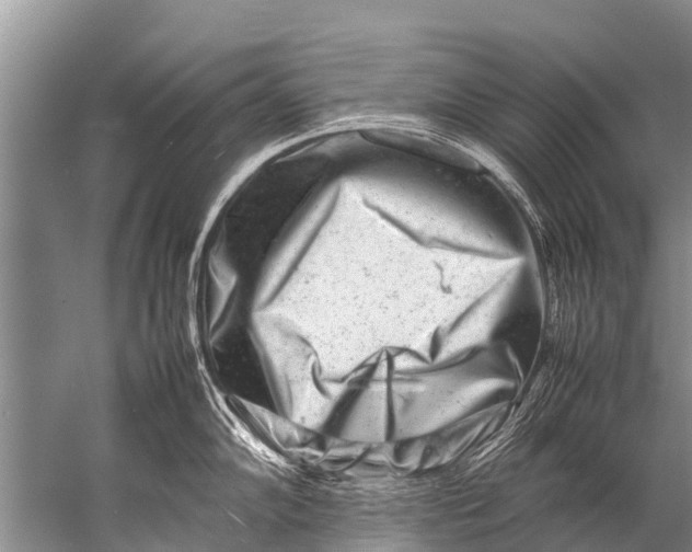 X0000057081102200510010153