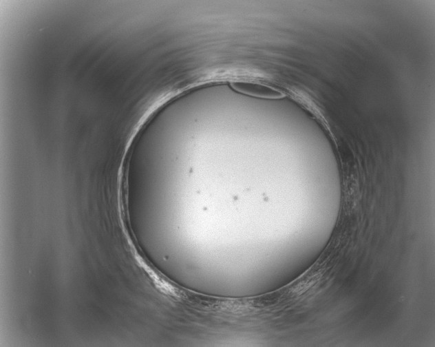 X0000057081103200510010153