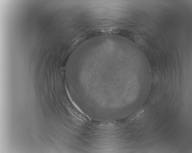 X0000057081106200510010152