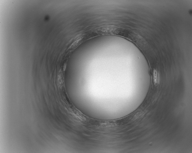 X0000057081107200510010152