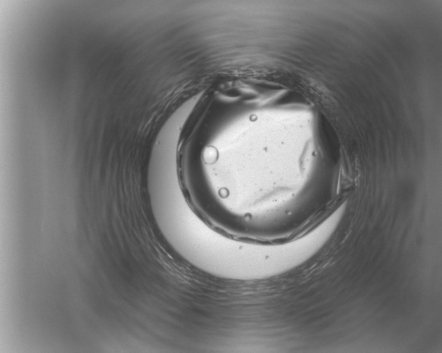 X0000057081108200510010152