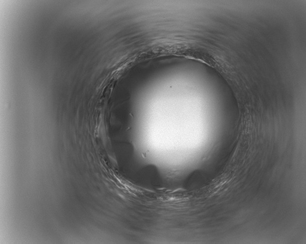 X0000057081109200510010152