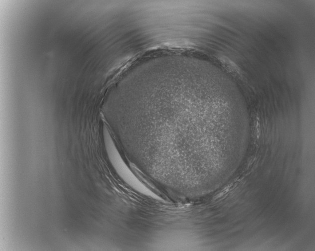 X0000057081110200510010152