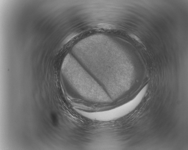 X0000057081112200510010152