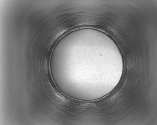 X0000057081113200510010152