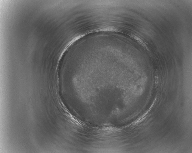 X0000057081117200510010152