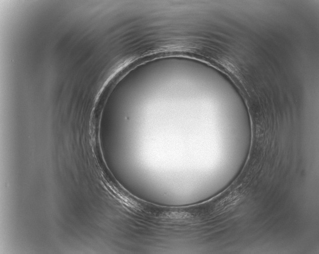 X0000057081119200510010152