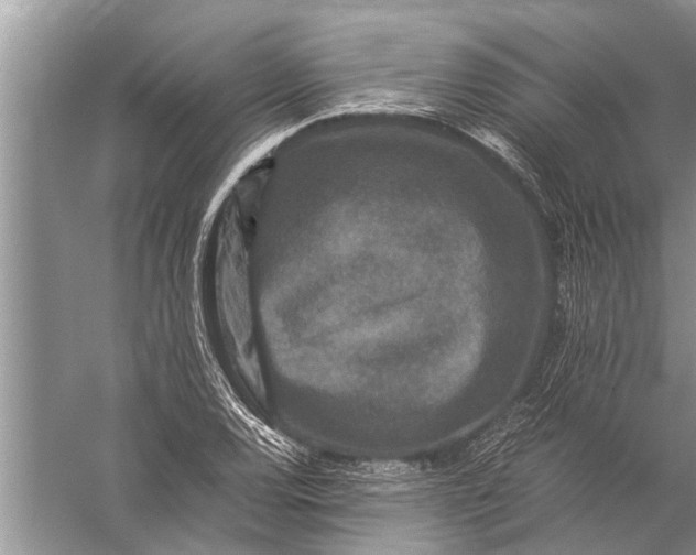 X0000057081120200510010152