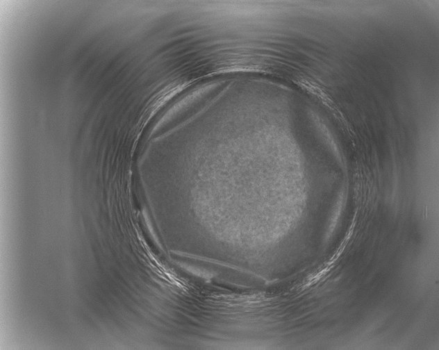 X0000057081121200510010152