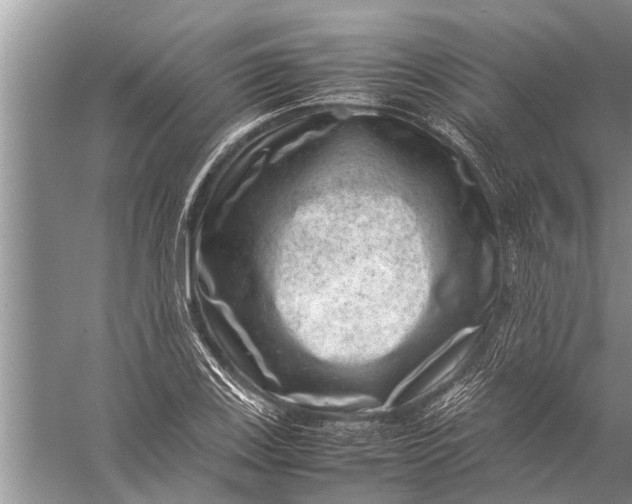 X0000057081123200510010152