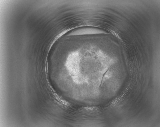 X0000057081125200510010152