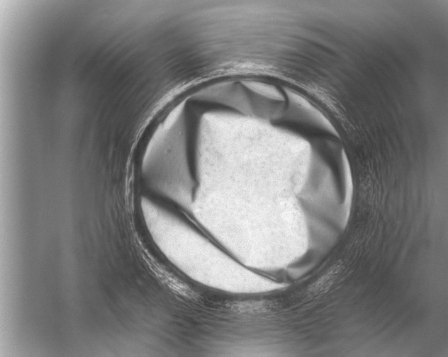 X0000057081126200510010152