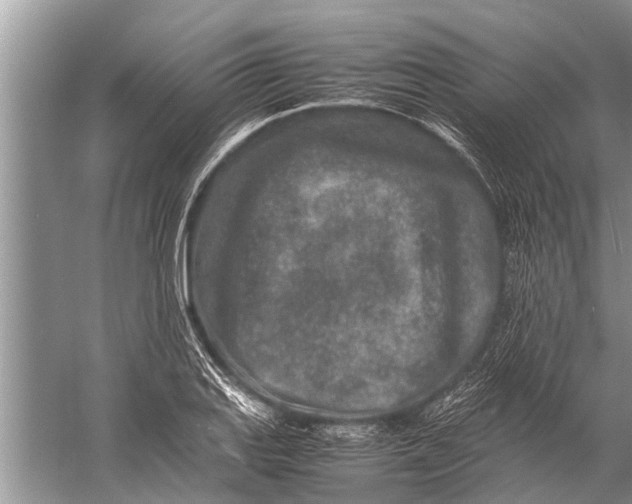 X0000057081127200510010152