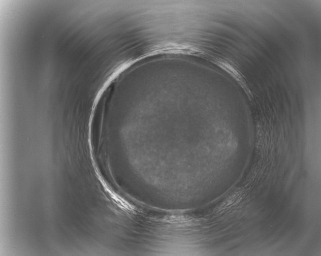 X0000057081128200510010152