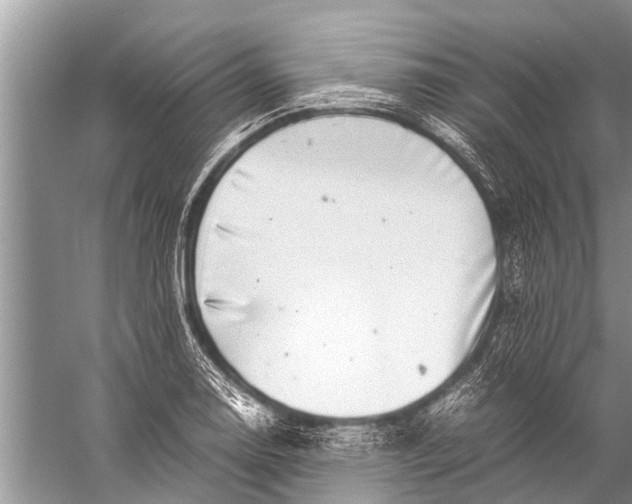 X0000057081130200510010152