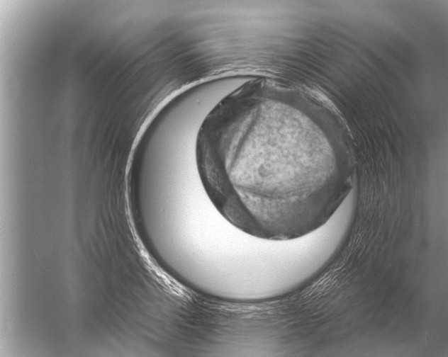 X0000057081132200510010152