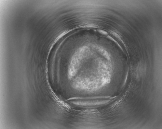 X0000057081133200510010152