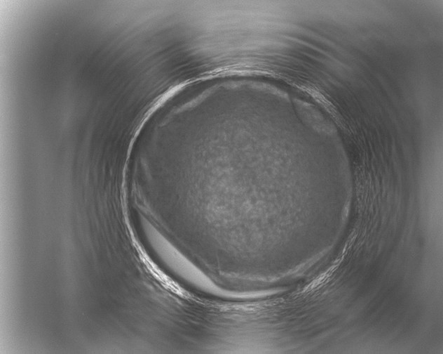 X0000057081134200510010153