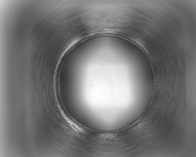 X0000057081135200510010153