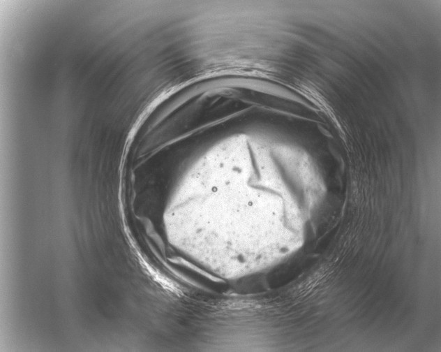 X0000057081136200510010153