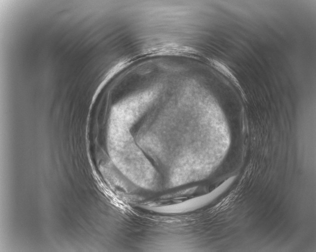 X0000057081138200510010153