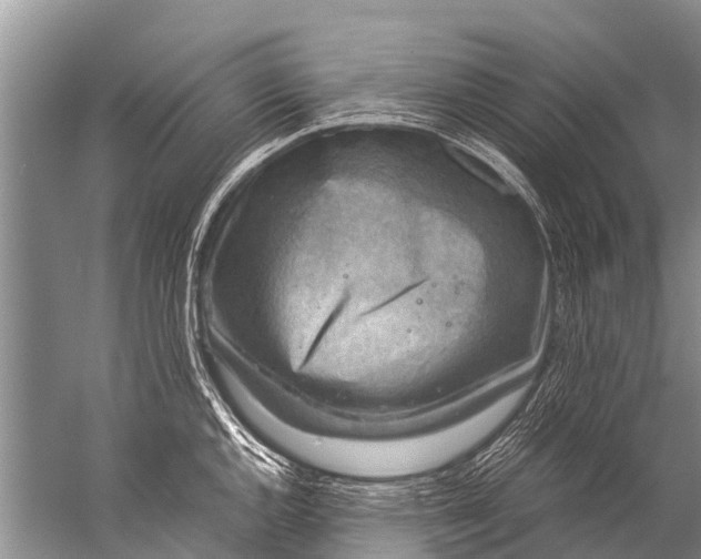 X0000057081144200510010153