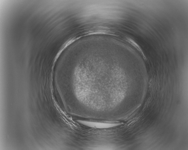 X0000057081146200510010153