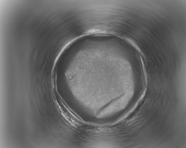 X0000057081148200510010153