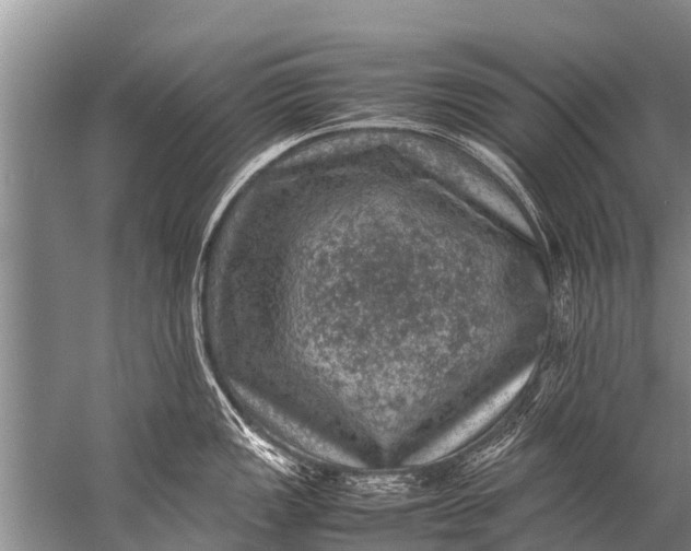 X0000057081149200510010153