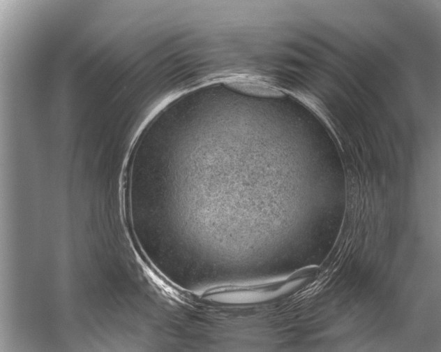 X0000057081151200510010153