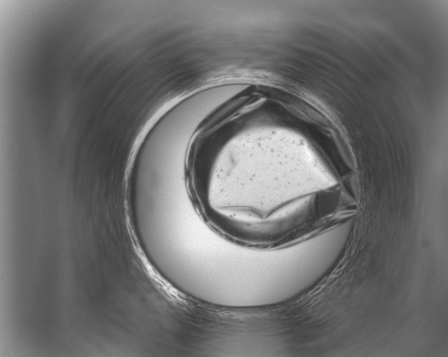 X0000057081152200510010153