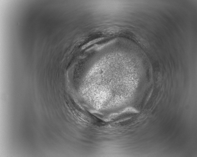 X0000057081153200510010152