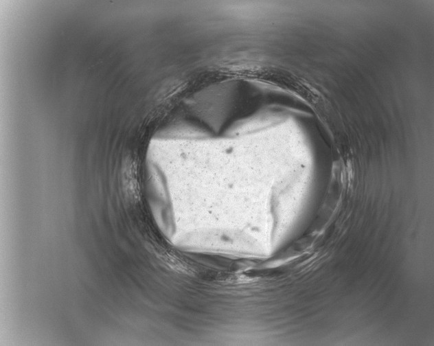 X0000057081156200510010152