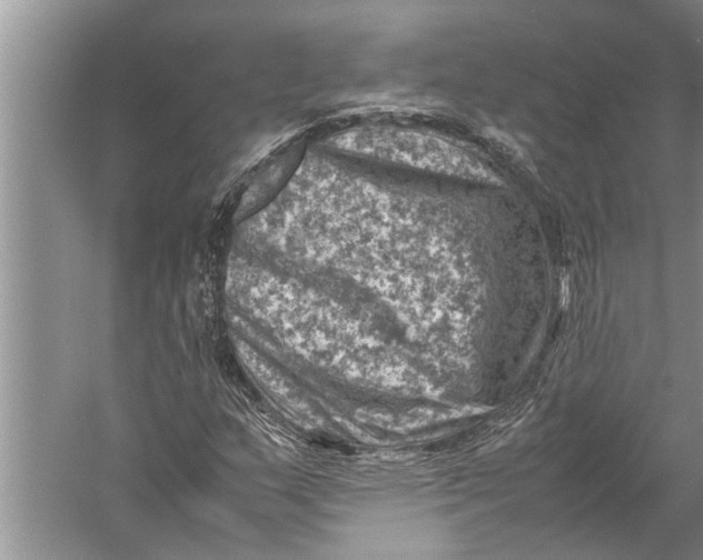 X0000057081159200510010152