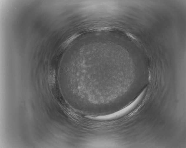 X0000057081161200510010152