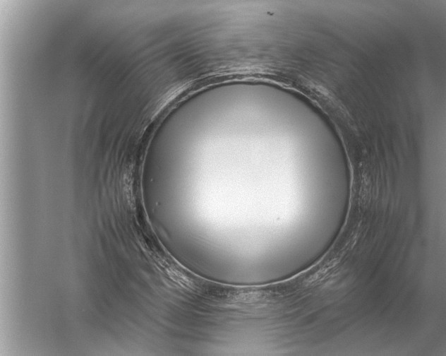 X0000057081162200510010152