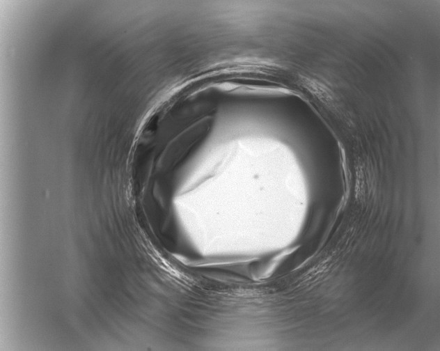 X0000057081164200510010152